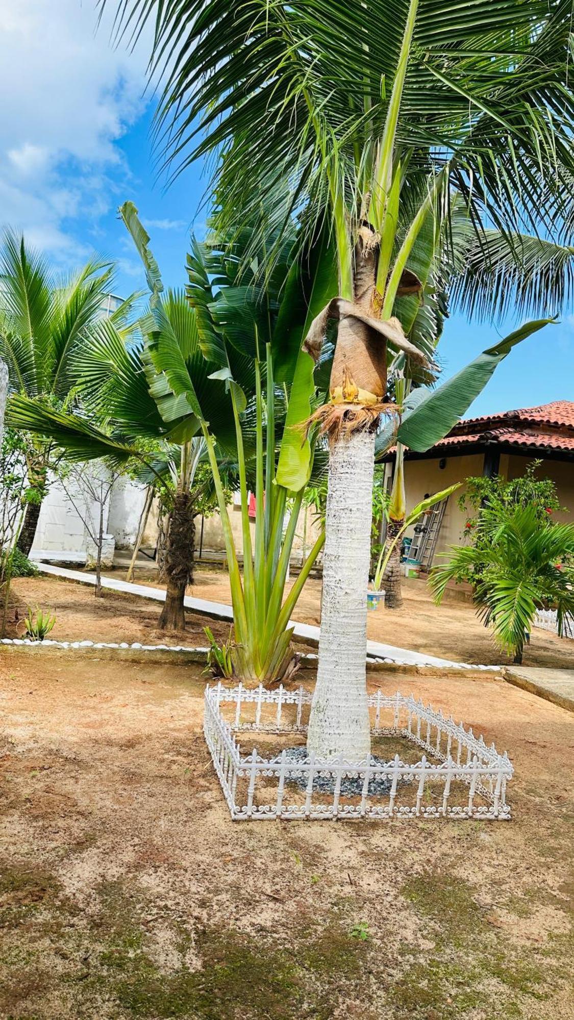 B&B Residencia Casa Branca Sitio Luaran gambar